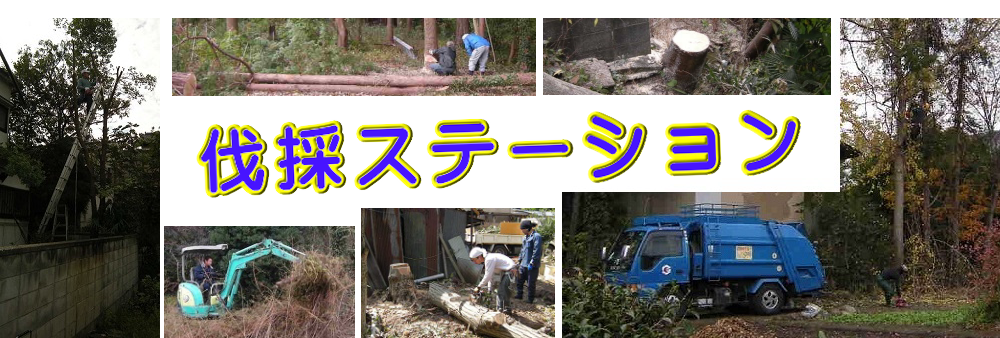 昭島市の庭木伐採、立木枝落し、草刈りを承ります。